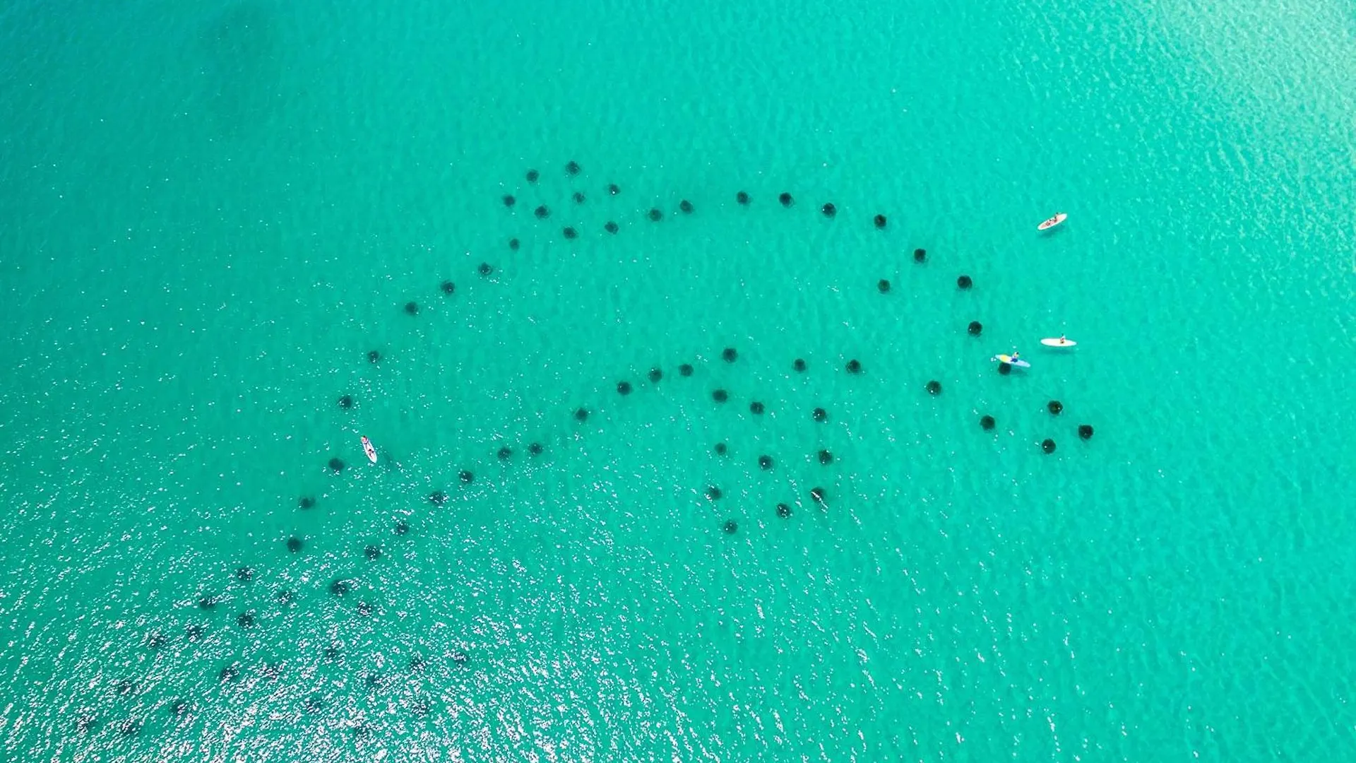 Sandpiper Cove 1053- By Holiday Isle Properties Destin United States
